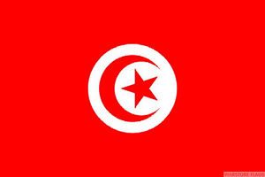 tunisia flag world cup